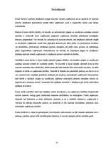 Referāts 'Peļņas analīze uzņēmumā', 24.