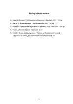 Referāts 'Peļņas analīze uzņēmumā', 25.