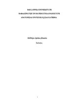 Konspekts 'Ahilleja cīpslas plīsums', 1.