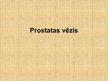 Prezentācija 'Prostatas vēzis', 1.