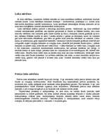 Referāts 'Laika mērīšana kā nozīmīgs informācijas ieguves avots fizikā', 3.