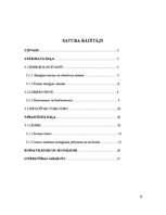 Referāts 'Enerģijas absorbcija un emisija atomos, starojuma veidi, lāzeri', 2.