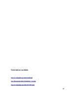 Referāts 'Enerģijas absorbcija un emisija atomos, starojuma veidi, lāzeri', 17.