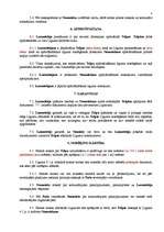 Paraugs 'Nedzīvojamo telpu nomas līgums', 4.