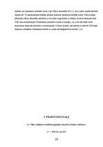 Referāts 'Izdalītās gāzes un PH līmeņa mērījumi bezalkoholiskajos gāzētajos dzērienos', 13.