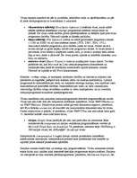 Referāts 'Datorvīrusi', 5.