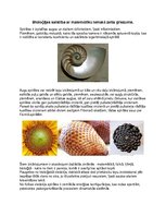 Konspekts 'Bioloģijas saistība ar matemātiku tematā zelta griezums', 1.