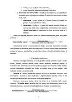 Referāts 'Bezdarbs', 5.