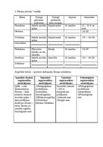 Paraugs 'Sportistu raksturojošo datu analīze un treniņa procesa mērķu izvirzīšana', 6.