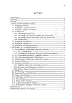 Referāts 'Tirgzinības stratēģijas izstrādāšana', 4.