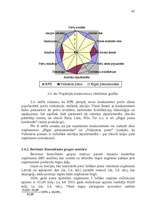 Referāts 'Tirgzinības stratēģijas izstrādāšana', 41.