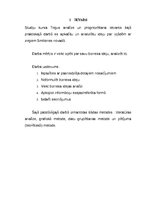 Biznesa plāns 'Biznesa idejas analīze - ideja par izjādēm ar zirgiem', 2.