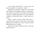 Biznesa plāns 'Biznesa idejas analīze - ideja par izjādēm ar zirgiem', 16.