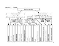 Diplomdarbs 'Pusaudžu mācību motivācija un tās analīze vēstures apguvē', 51.