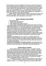 Referāts 'Sīpoli', 4.