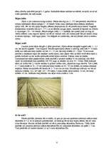 Referāts 'Sīpoli', 6.