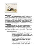 Referāts 'Sīpoli', 7.