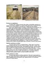 Referāts 'Sīpoli', 8.