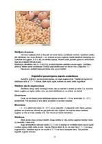 Referāts 'Sīpoli', 10.