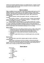 Referāts 'Sīpoli', 13.