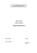 Paraugs 'Hidrotehniskās būves', 1.