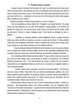 Referāts 'Smēķēšanas ietekme uz cilvēku', 4.