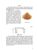 Referāts 'Ābolu sidra ražošanas tehnoloģija un iekārtas', 6.