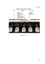 Referāts 'Ābolu sidra ražošanas tehnoloģija un iekārtas', 22.