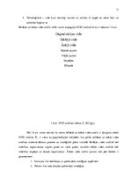 Referāts 'Priekšnoteikumi sekmīgai uzņēmuma darbībai un klientu piesaistei', 11.