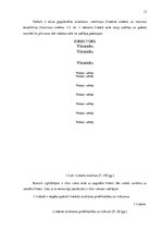 Referāts 'Priekšnoteikumi sekmīgai uzņēmuma darbībai un klientu piesaistei', 13.