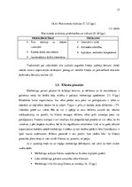 Referāts 'Priekšnoteikumi sekmīgai uzņēmuma darbībai un klientu piesaistei', 15.