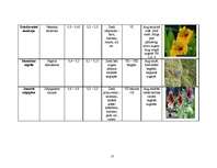 Referāts 'Vīteņaugi, ziemcietes, viengadīgie lakstaugi, lapu un skuju kokaugi', 17.