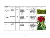 Referāts 'Vīteņaugi, ziemcietes, viengadīgie lakstaugi, lapu un skuju kokaugi', 18.