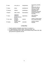 Konspekts 'Terminelementi', 5.