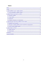 Referāts 'Produkta analīze', 2.