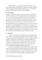 Referāts 'Produkta analīze', 11.