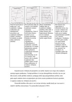 Referāts 'Produkta analīze', 17.