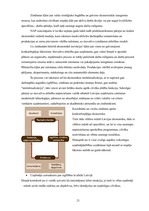 Referāts 'Produkta analīze', 21.