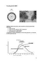 Referāts 'Vīrushepatīti', 16.