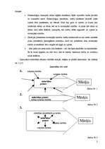 Konspekts 'Izglītības sistemoloģija', 2.