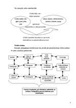 Konspekts 'Izglītības sistemoloģija', 4.