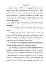 Referāts 'Noziedzīgi iegūti līdzekļi', 10.