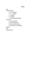 Referāts 'Personvārds', 2.