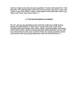 Referāts 'Personvārds', 7.