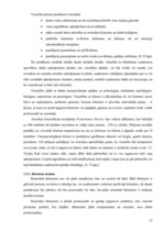 Referāts 'Ēdināšanas uzņēmuma pakalpojumu kvalitāte', 12.