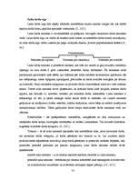 Referāts 'Darba samaksas būtība un veidi uzņēmējdarbībā', 14.