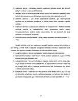 Referāts 'Darba samaksas būtība un veidi uzņēmējdarbībā', 19.