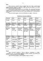 Referāts 'Ķīniešu medicīna sievietēm', 13.