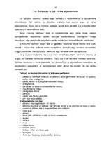 Referāts 'Ķīniešu medicīna sievietēm', 19.