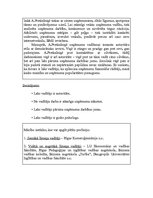 Konspekts 'Projekts "Mana mīļākā profesija"', 2.